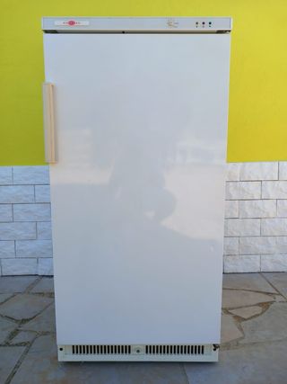 Congelador Norwood VF25