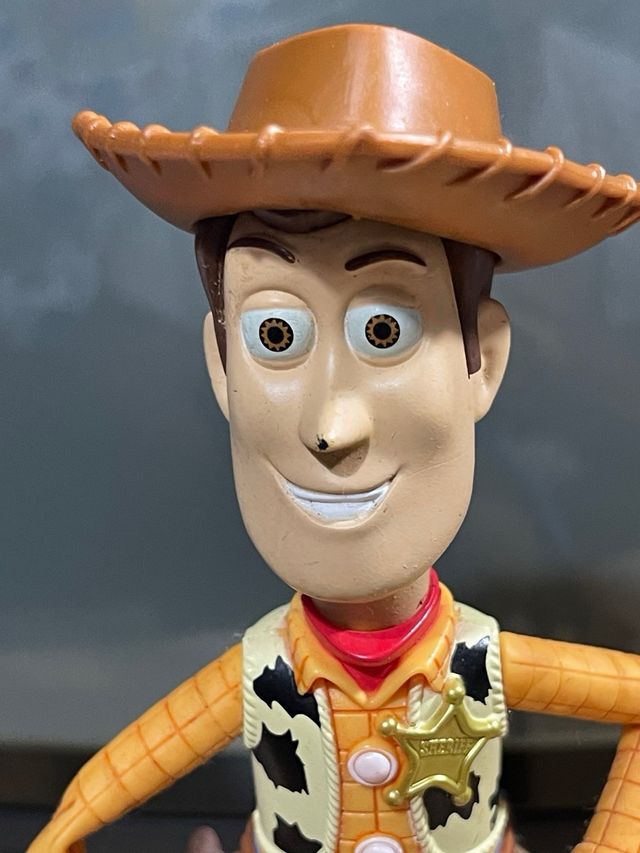 Toy Story Woody y Tiro al Blanco
