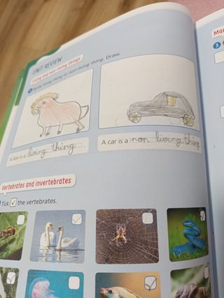 Libro EDELVIVES OUTSIDE THE BOX 2° primaria
