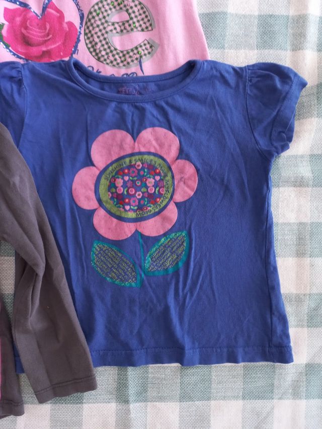 Lote cuatro camisetas