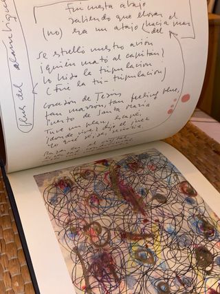 Libro CD Sabina - Vinagre y rosas