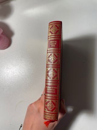 Libro Narraciones Extraordinarias.