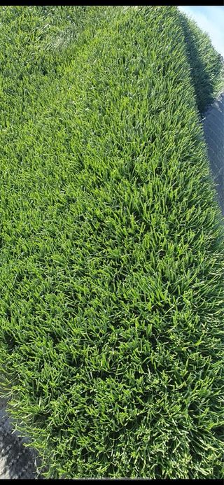 Cesped artificial reciclado