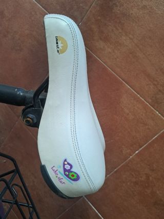 Bicicleta  niña