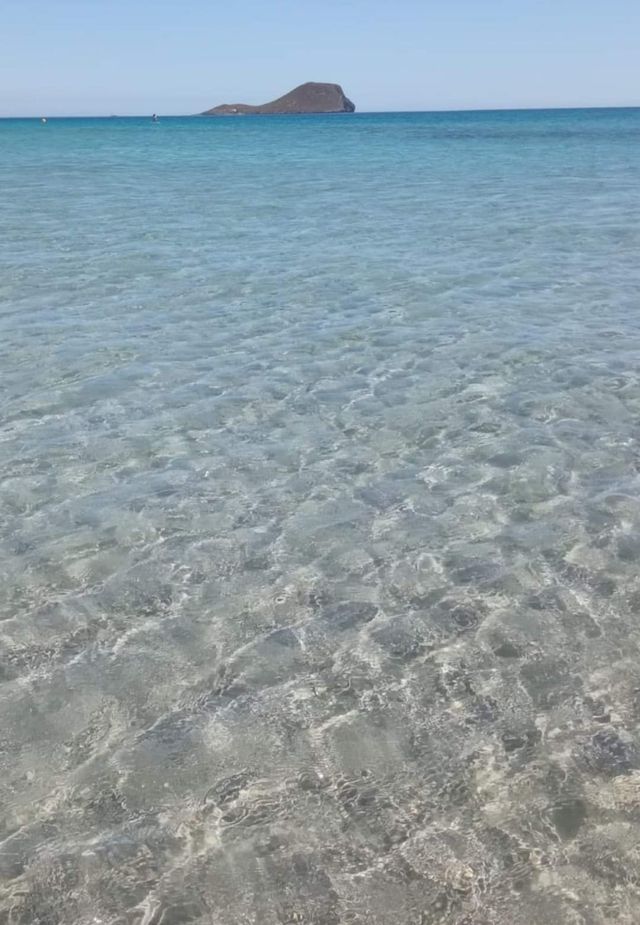 Vacaciones en la manga!