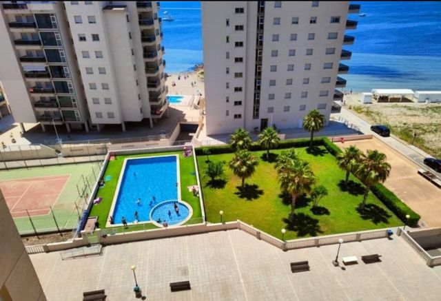 Vacaciones en la manga!