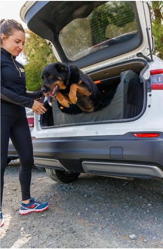 Transportín rígido