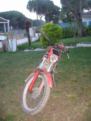 MONTESA COTA 349