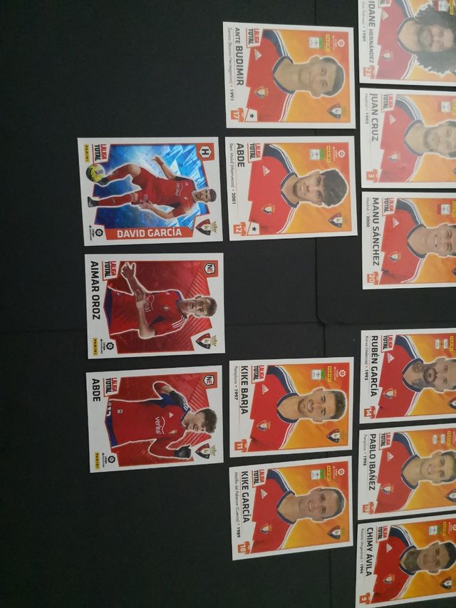 Equipo completo OSASUNA LALIGA TOTAL