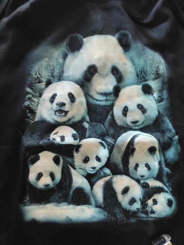Camiseta oso panda
