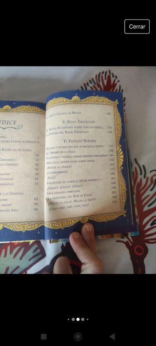 Libro especial Gerónimo Stilton