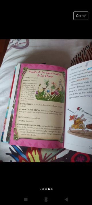 Libro especial Gerónimo Stilton