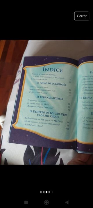 Libro especial Gerónimo Stilton