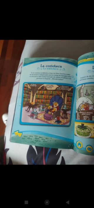 Libro especial Gerónimo Stilton