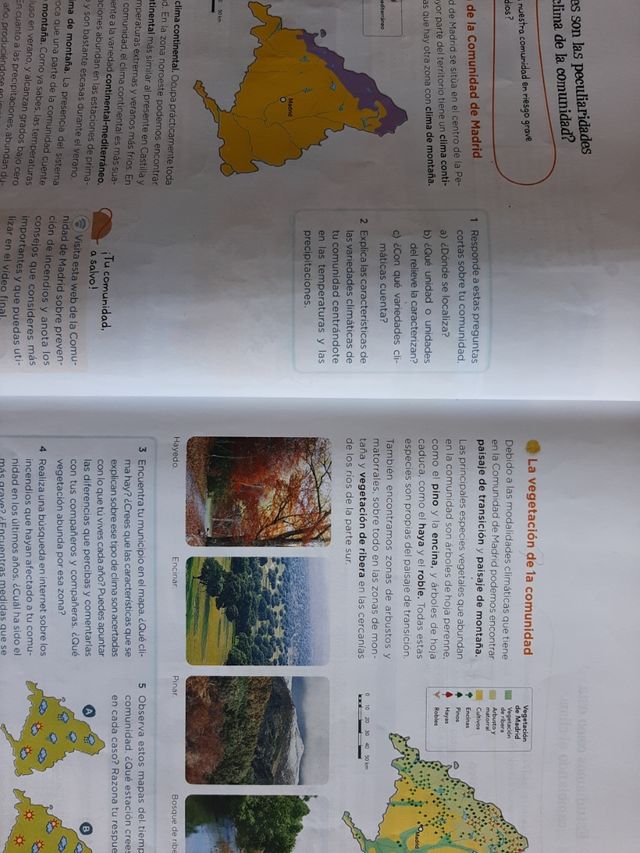 Libro sociales cuarto 4 primaria