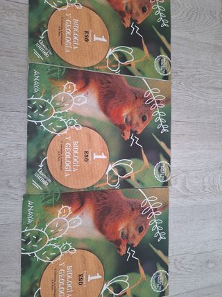 Libros 1 de la ESO