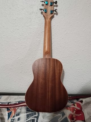Ukelele egmond