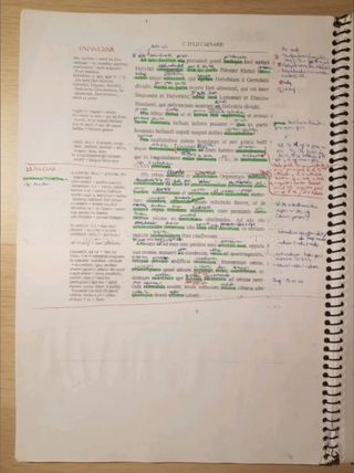 Commentarii de Bello Gallico Orberg 2003