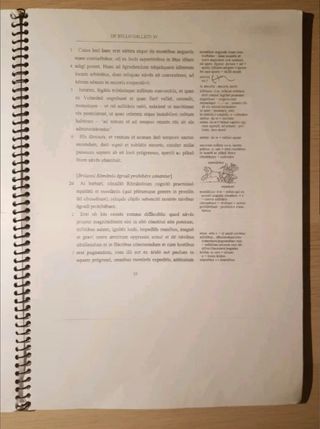Commentarii de Bello Gallico Orberg 2003