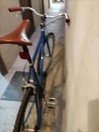 Bicicleta Fixie Pepita bike