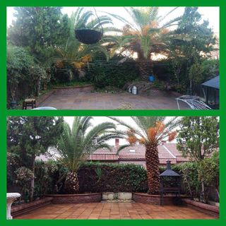 Limpieza y abrillantado