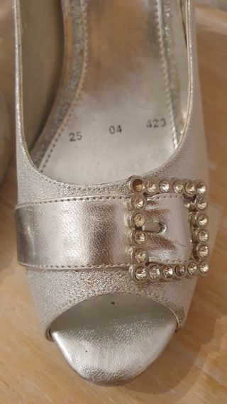 Zapatos plateados 