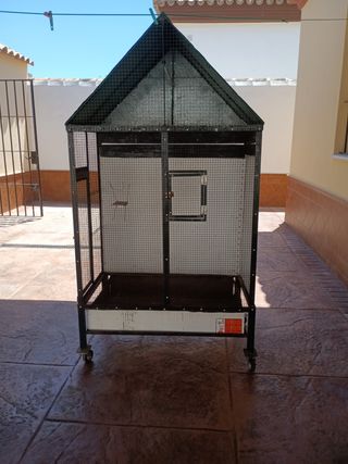 Voladero canario, periquito, loro, aves