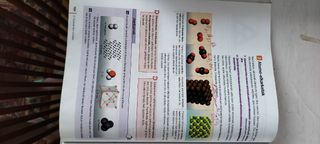 Fisica y química, 3 ESO, Giltza en euskera 