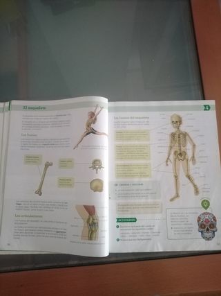 C Naturaleza santillana ISBN 9788468049748