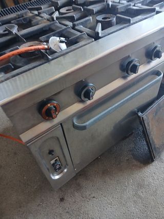 FUEGOS SEIS Y HORNO  REPAGAS