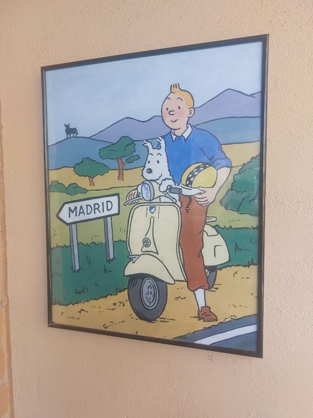 Cuadro tintin