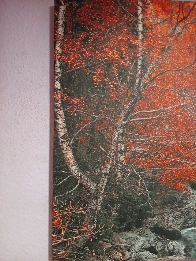 Cuadro mural paisaje rio