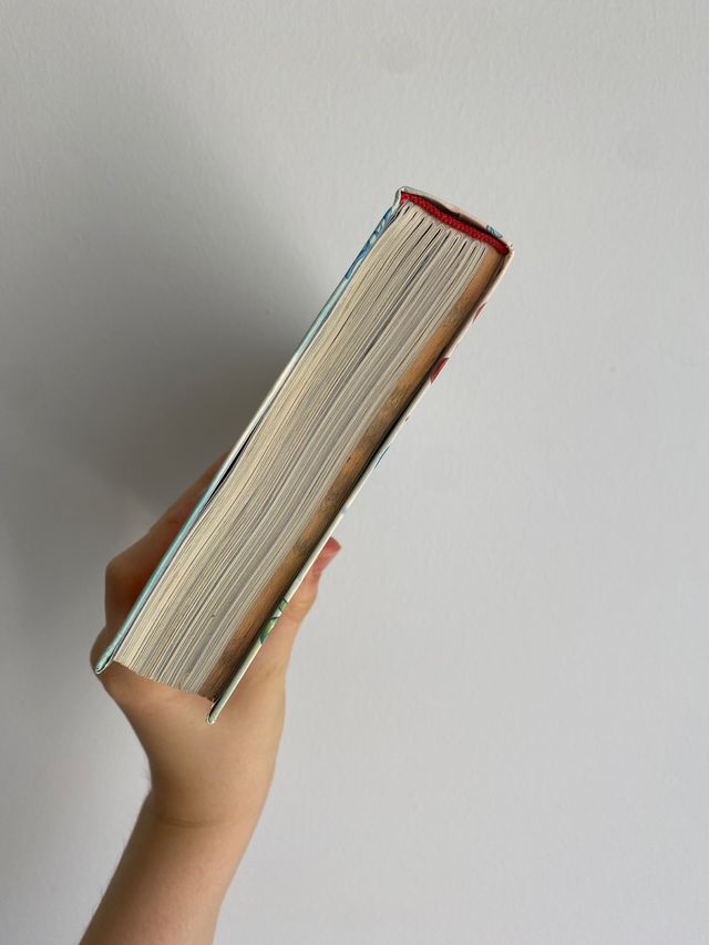 Geronimo Stilton, 6º viaje al reino de la fantasía