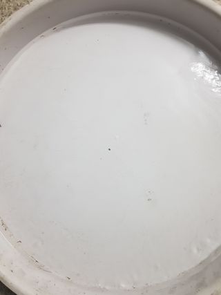 Contenitori per pescivendolo