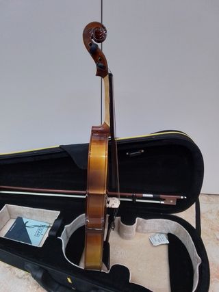 Violín Oqan 2/4 OV100