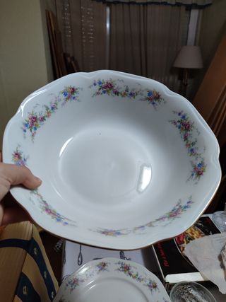 Vajilla porcelana Bohemia completa