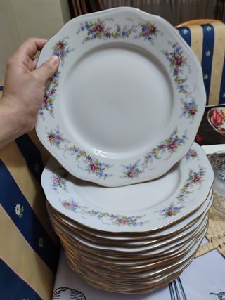 Vajilla porcelana Bohemia completa