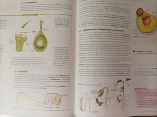 Libro biologia