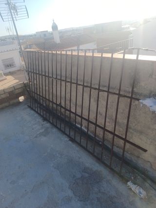 Reja 