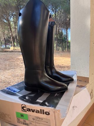 Bota doma clasica negra cavallo