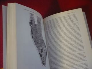 LAS EXPERIENCIAS DEL ZONING ( FRANCO MANCUSO) 1980