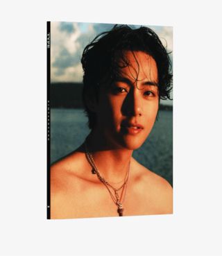 Type 1 Taehyung BTS