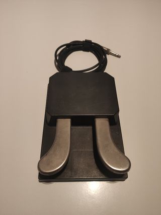 Pedal sustain