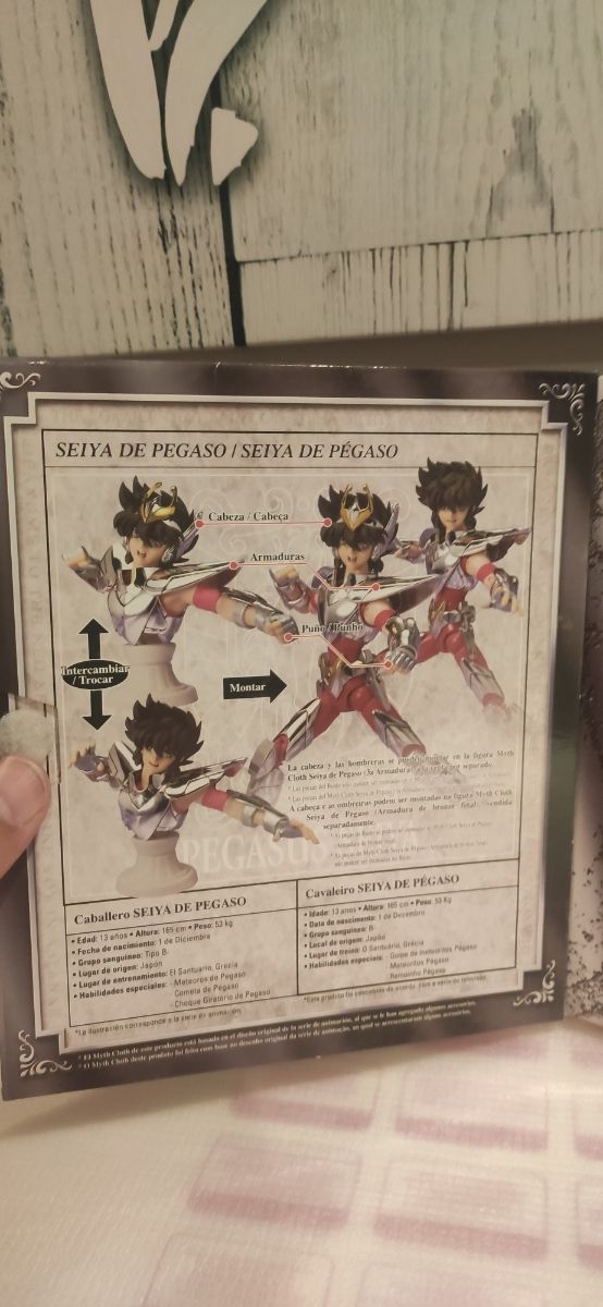 caballero del zodiaco Saint Seiya