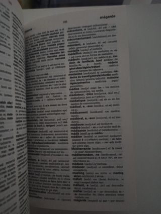 Diccionario español-francés