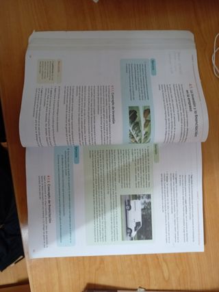 Gestión económica y financiera