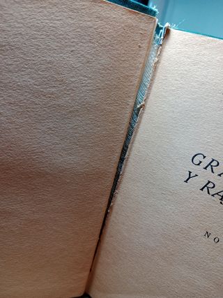 Gran Señor y Rajadiablos