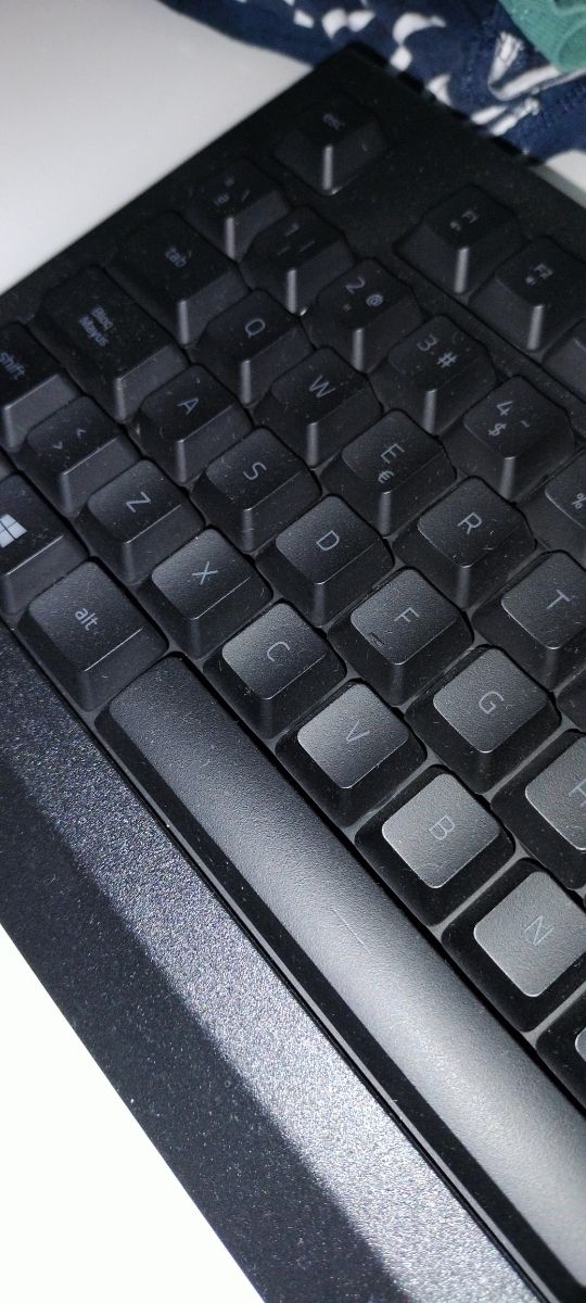 Teclado Razer Cynosa Lite