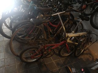 Bicicleta plegable exclusiva 