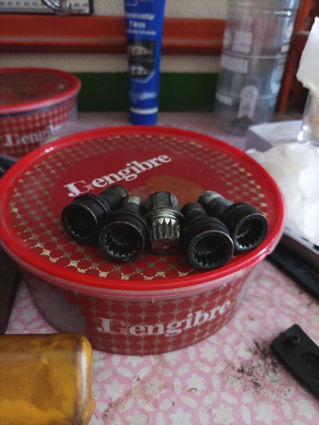 Tornillo antirrobo coce